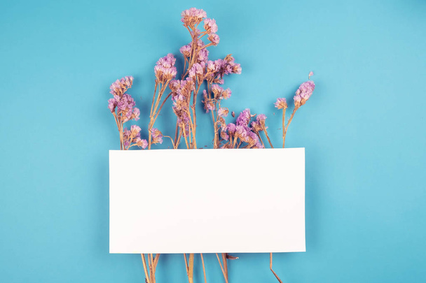 Grazioso fiore di statice viola essiccato con carta bianca in cima
 - Foto, immagini