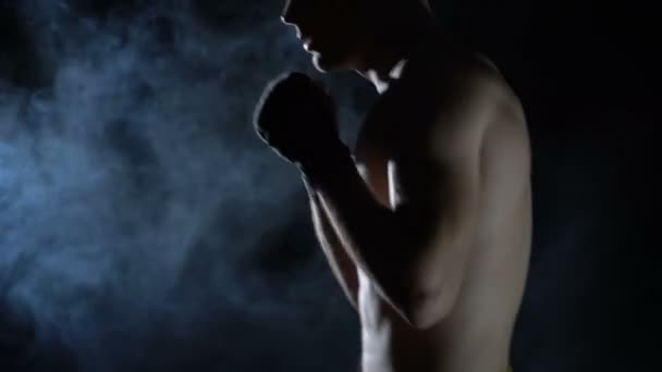 Boxer training in the gym - Materiał filmowy, wideo