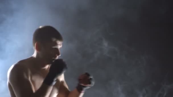 Boxer training in the gym - Кадри, відео