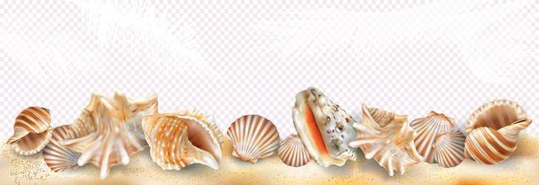 砂と透明背景にエキゾチックな貝殻の軟体動物 - ベクター画像