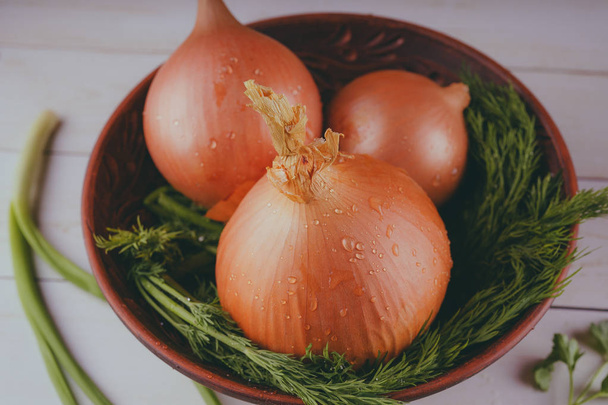 Bulbs of onion and dill in bowl. Big whole bulbs of raw onion and fresh green dill placed in ceramic bowl on table - Photo, image