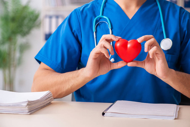 Férfi orvos kardiológus gazdaság szív modell  - Fotó, kép