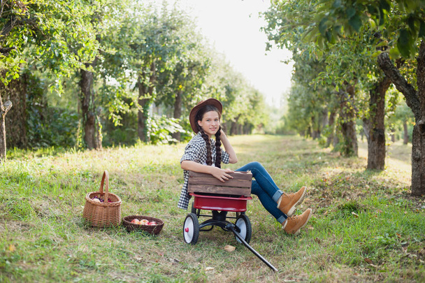 Menina com a Apple no Apple Orchard
 - Foto, Imagem