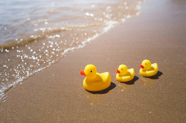 żółty gumowe kaczki na plaży - Zdjęcie, obraz
