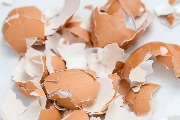 broken eggshell on white background  - Photo, image