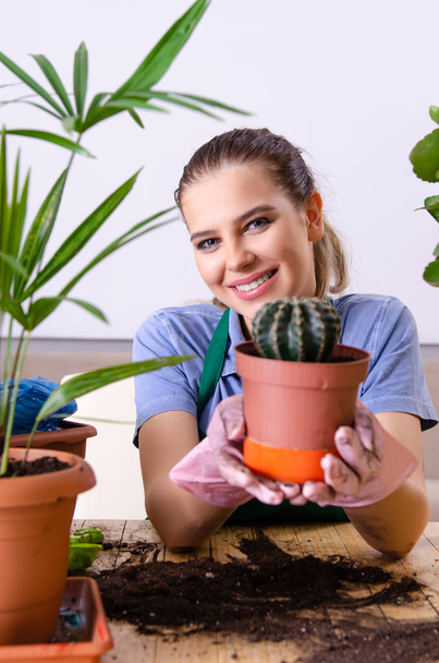 Young female gardener with plants indoors  - Фото, изображение