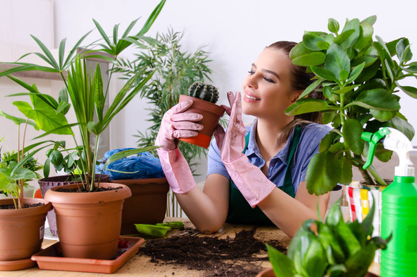 Junge Gärtnerin mit Pflanzen im Haus  - Foto, Bild