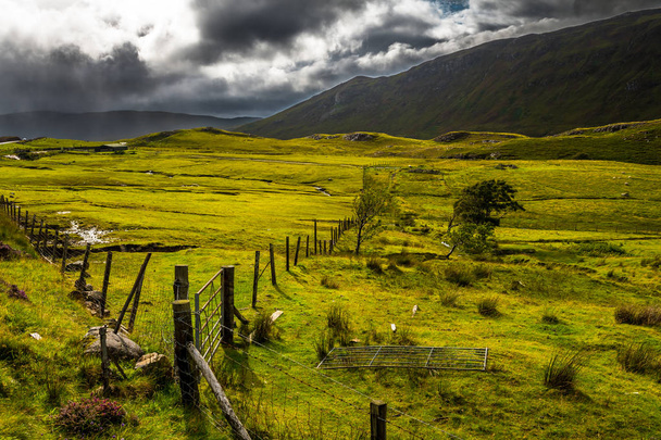Green Fresh Pasture With Iron Fence On Isle Of Skye In Scotland - Photo, Image
