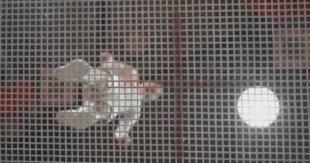 Вид знизу через мережеву гімнастку приходить до батуту в білому одязі
 - Кадри, відео