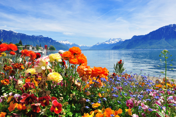 flowers, mountains ald lake - Photo, Image