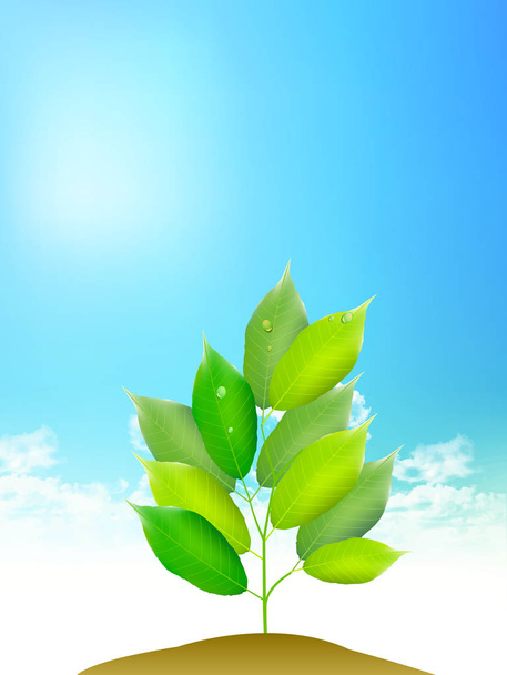 Verse groene spruit hemel achtergrond - Vector, afbeelding
