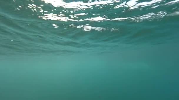 Pomalý pohyb pod vodou: malé vlny se utváří na skle jako povrch oceánu, leskající se na slunci. Hluboký modrý podmořský svět na ostrově Lobos. Hypnotizující síla přírody vytvářející námořní hnutí. - Záběry, video