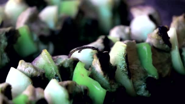 Ψήσιμο στη σχάρα τα νωπά κρέατα και λαχανικά κινηματογράφηση σε πρώτο πλάνο - Πλάνα, βίντεο