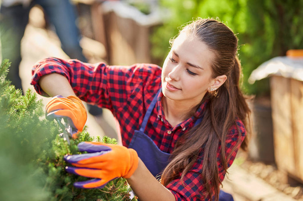 Girl gardener dressed in apron is pruning plants in the beautiful nursery-garden on a sunny day. - Photo, Image