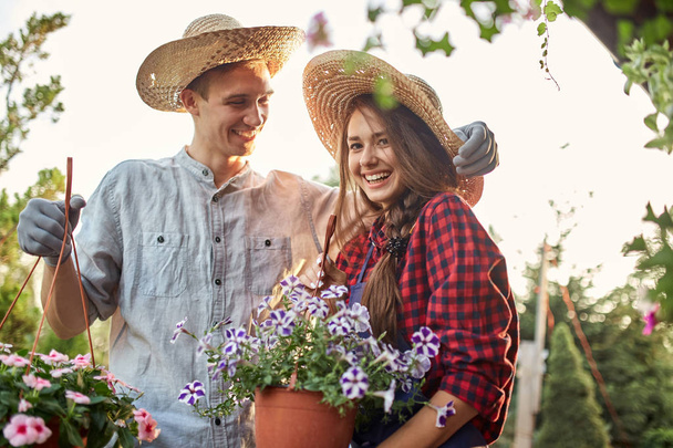 Guy and girl gardeners in a straw hats hold pots with wonderful petunia on the garden path in  on a sunny day. - Foto, afbeelding