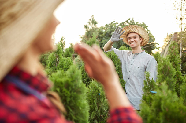 Guy and girl gardeners wave to each other in the nursery-garden on a warm sunny day - 写真・画像