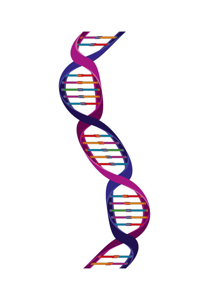 cadena de ADN vertical icono de la ciencia
 - Vector, Imagen