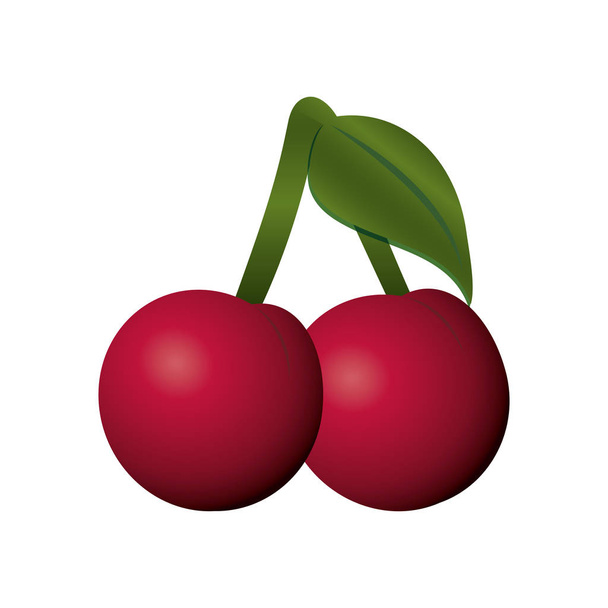 pair cherries fruit diet nutrition - Vector, Image