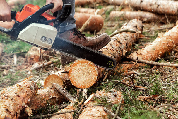Professional chainsaw close up, logging. Cutting down trees, forest destruction. The concept of industrial destruction of trees, causing harm to the environment. - Foto, Imagem