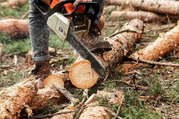 Professional chainsaw close up, logging. Cutting down trees, forest destruction. The concept of industrial destruction of trees, causing harm to the environment. - Fotografie, Obrázek