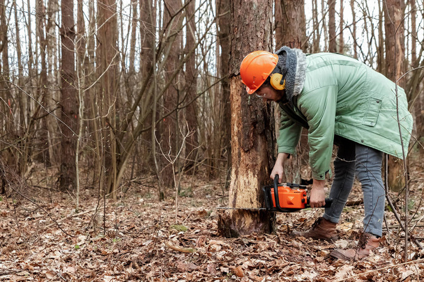 Logging, Worker in a protective suit with a chainsaw sawing wood. Cutting down trees, forest destruction. The concept of industrial destruction of trees, causing harm to the environment. - Фото, изображение