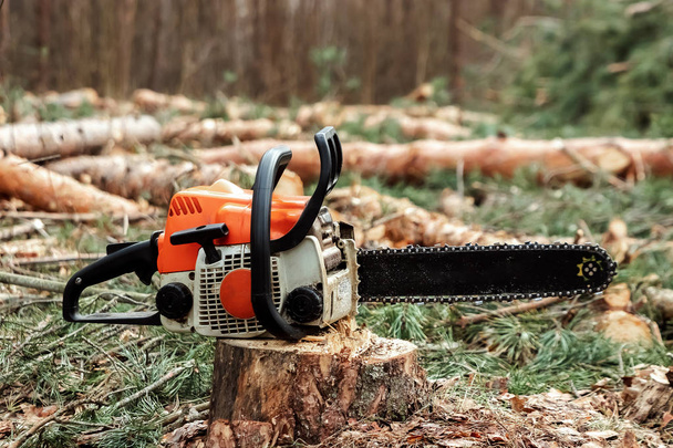 Professional chainsaw close up, logging. Cutting down trees, forest destruction. The concept of industrial destruction of trees, causing harm to the environment. - Foto, Bild