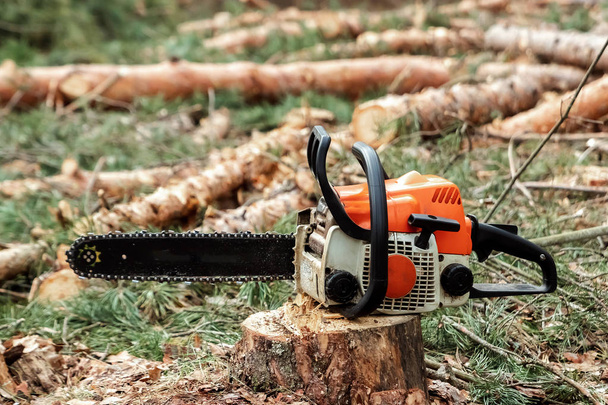 Professional chainsaw close up, logging. Cutting down trees, forest destruction. The concept of industrial destruction of trees, causing harm to the environment. - Fotó, kép