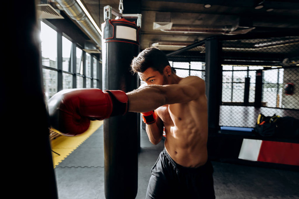Sportsman in red boxing gloves with a naked torso hits punching bag in the gym on the background of  boxing ring - Fotó, kép