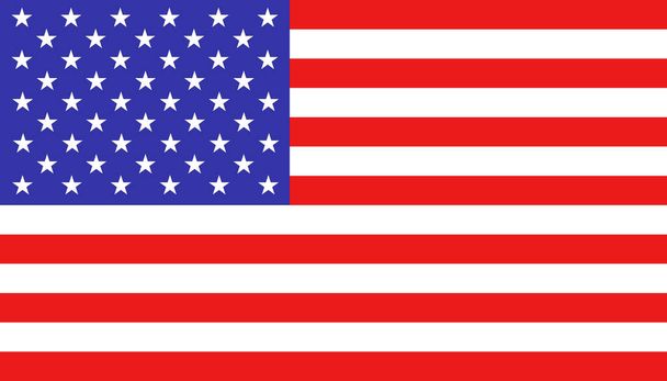 USA flag icon in flat style. America national sign vector illust - Vector, Image