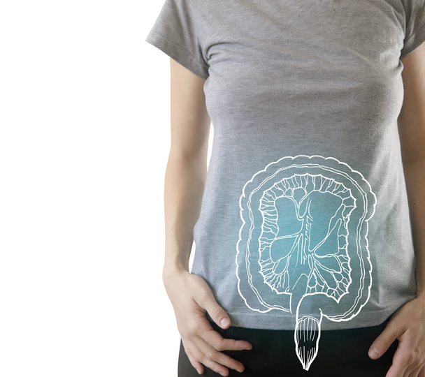 Digital composite of highlighted blue healthy intestine of woman - Фото, зображення
