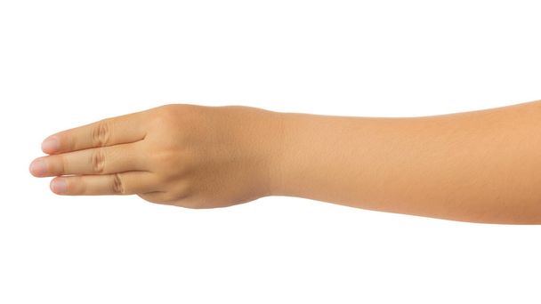 Human hand isolate on white background - Photo, Image