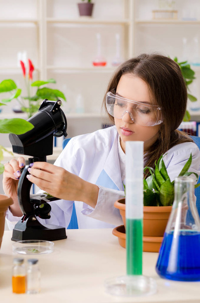 Młoda piękna chemiczka biotechnologiczna pracująca w laboratorium  - Zdjęcie, obraz