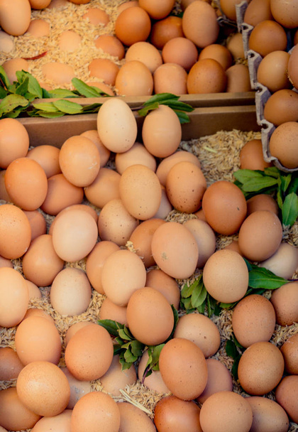Ekologiczne gospodarstwo świeżych jaj na rynku - Zdjęcie, obraz