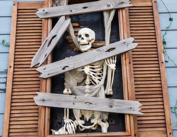 Gruselige Halloween-Skelette in einem Geisterhaus - Foto, Bild