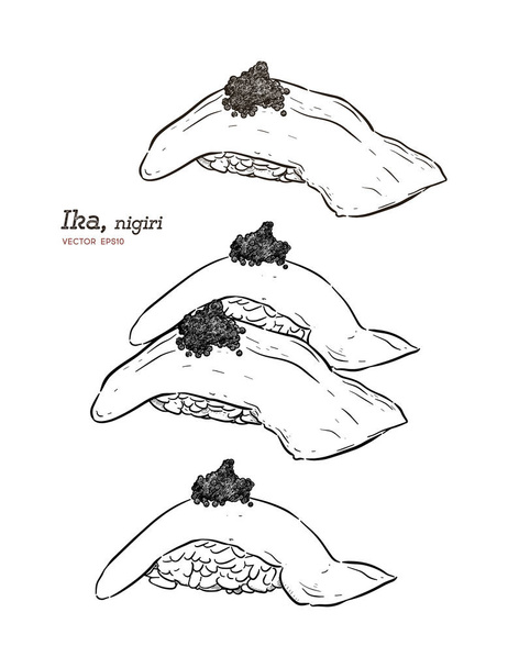 Nigiri sushi with squid , hand draw sketch vector. - Vector, afbeelding