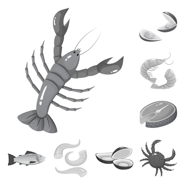 Vector design of seafood and healthy symbol. Set of seafood and ocean stock vector illustration. - Vektor, obrázek