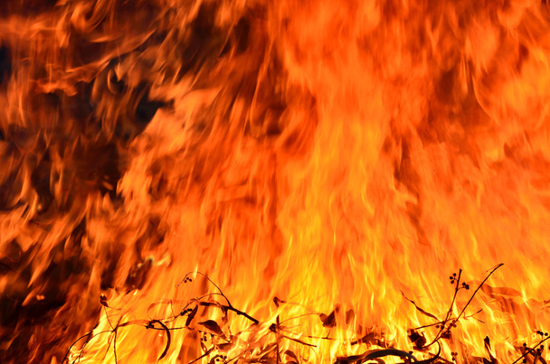 Burning fire - Фото, изображение