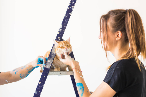 Mladá žena, malíř, designér a pracovník maluje zeď. Kočka sedí vedle na žebříku a se dívá na práci. - Fotografie, Obrázek
