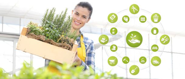 gardening equipment e-commerce icons, smiling woman with wooden  - Zdjęcie, obraz