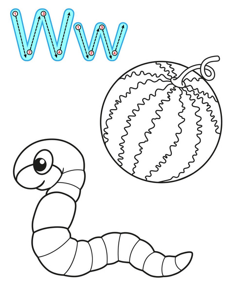 Printable coloring page for kindergarten and preschool. Card for study English. Vector coloring book alphabet. Letter W. watermelon, worm - Vector, Image