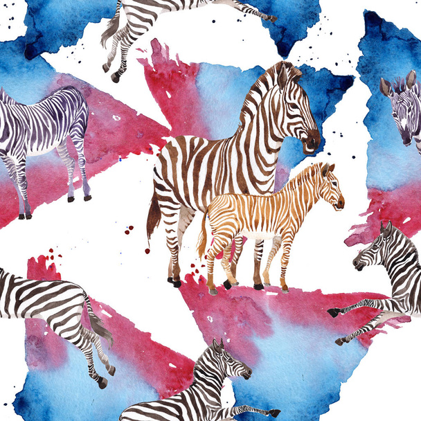 Exotic zebra wild animal in a watercolor style. Wild animal for background illustration set. Watercolour drawing fashion aquarelle. Seamless background pattern. Fabric wallpaper print texture. - Photo, Image