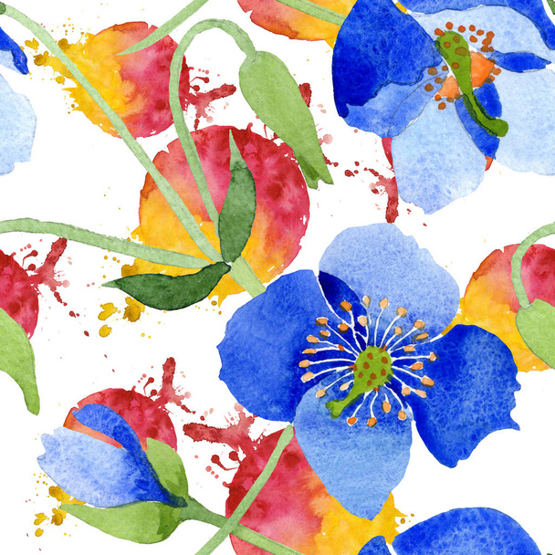 Modré květy máku botanické. Divoký jarní listové wildflower izolován. Sada akvarel ilustrace. Akvarel výkresu módní aquarelle. Vzor bezešvé pozadí. Fabric tapety tisku textura. - Fotografie, Obrázek