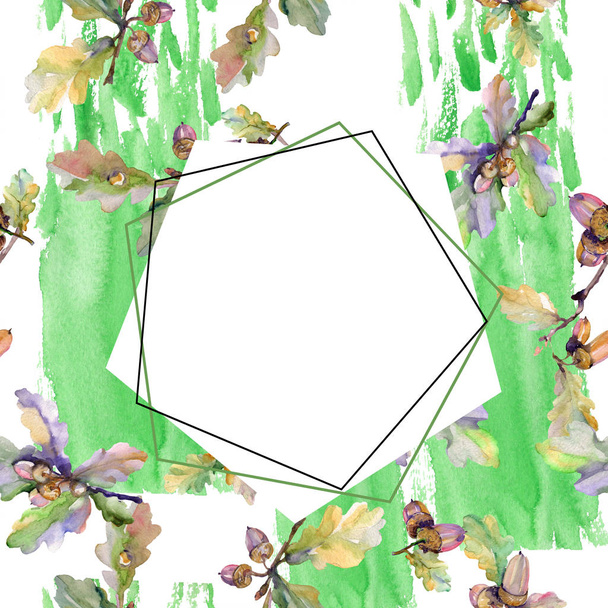 Βελανίδι πράσινα φύλλα και ξηρούς καρπούς. Φύλλο φυτού Βοτανικός Κήπος floral φύλλωμα. Ακουαρέλα φόντο εικόνα σύνολο. Ακουαρέλα σχεδίασης μόδας aquarelle απομονωμένη. Πλαίσιο συνόρων στολίδι τετράγωνο. - Φωτογραφία, εικόνα
