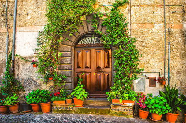 vine plant on an italian house door  - 写真・画像