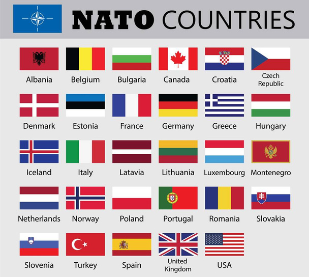 A NATO tagországok zászlói. NATO tagországok Flag-EK rajzolási ábra. USA, uk, Kanada 29 ország zászlókkal - Vektor, kép