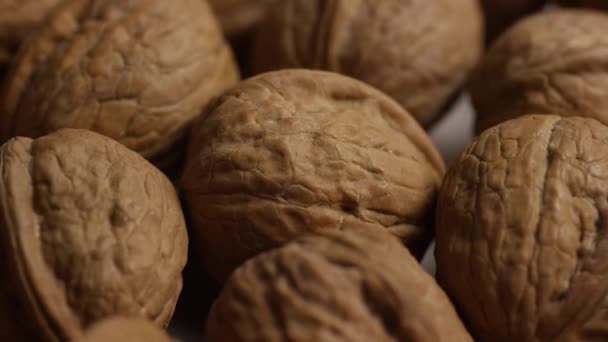 rotační střípek vlašských ořechů v jejich mušle na bílém povrchu - Záběry, video
