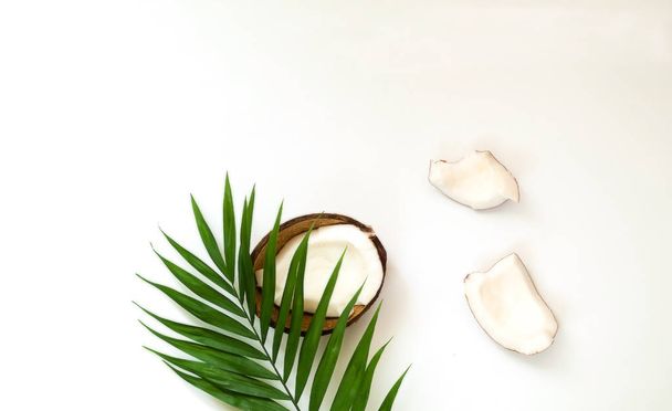 Tropische achtergrond met kokos helften. Palm bladeren op witte geïsoleerde achtergrond.  - Foto, afbeelding