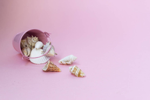 Sea shells of various sizes are scattered from a pink bucket on a pink background, empty space to the right. - Φωτογραφία, εικόνα