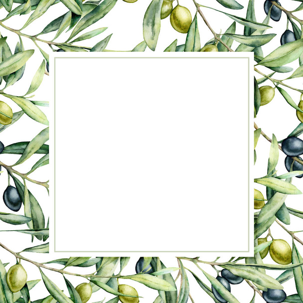 Watercolor olive branch delicate card. Hand painted olives on branch isolated on white background. Floral botanical illustration for design, print. - Photo, Image