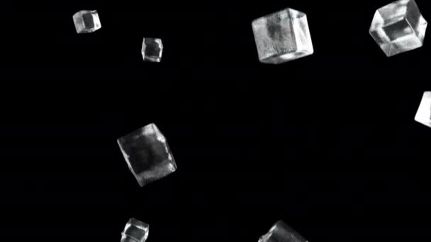 Cubos de hielo cayendo sobre fondo negro aislado
 - Metraje, vídeo